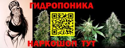тгк Вышний Волочёк